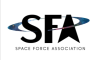 Space force Association logo